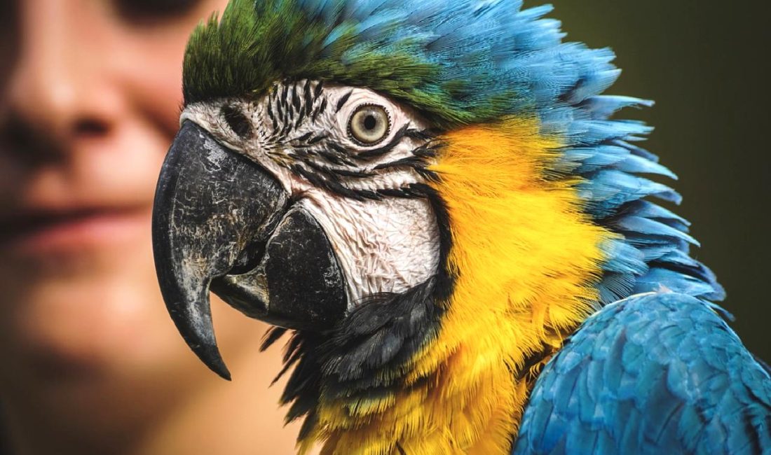 Güncel altın fiyatlarını takip edin ve yatırım trendlerini öğrenin. Piyasa