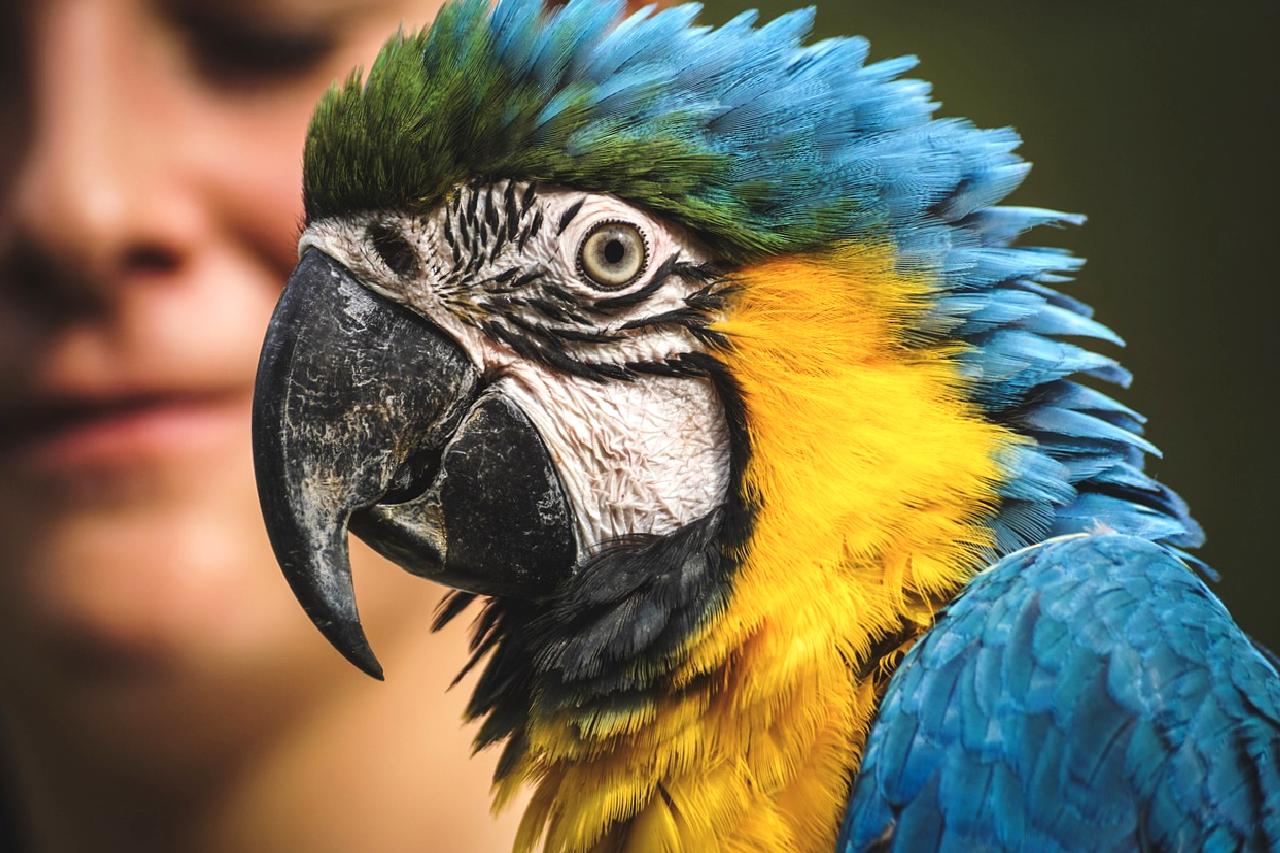 Güncel altın fiyatlarını takip edin ve yatırım trendlerini öğrenin. Piyasa