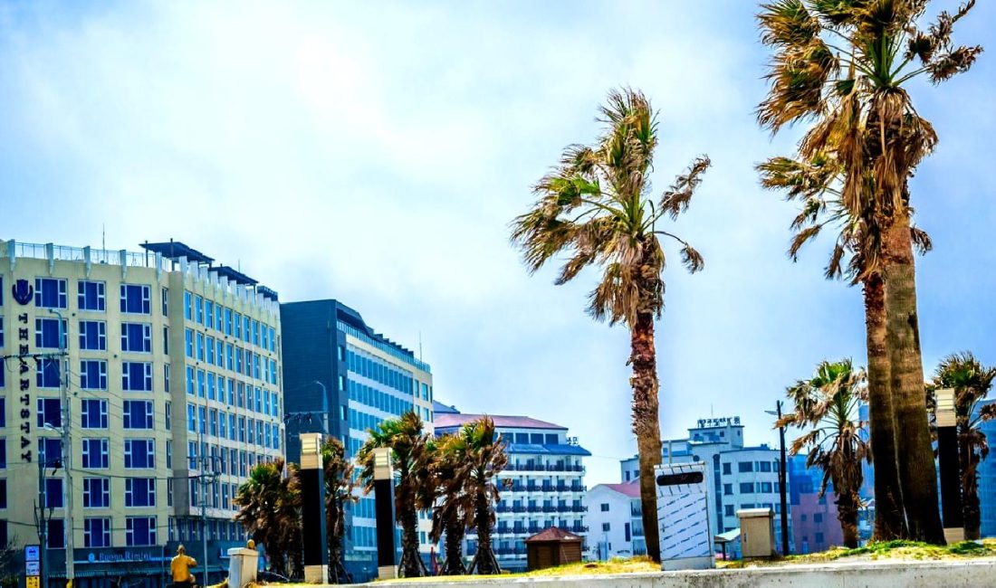 Güney Kore’nin Kripto Para Piyasası ve Yeni Altcoin Fırsatları Güney Kore'nin dinamik kripto para piyasasına dalın! Yeni altcoin fırsatlarını