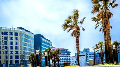 Güney Kore'nin dinamik kripto para piyasasına dalın! Yeni altcoin fırsatlarını