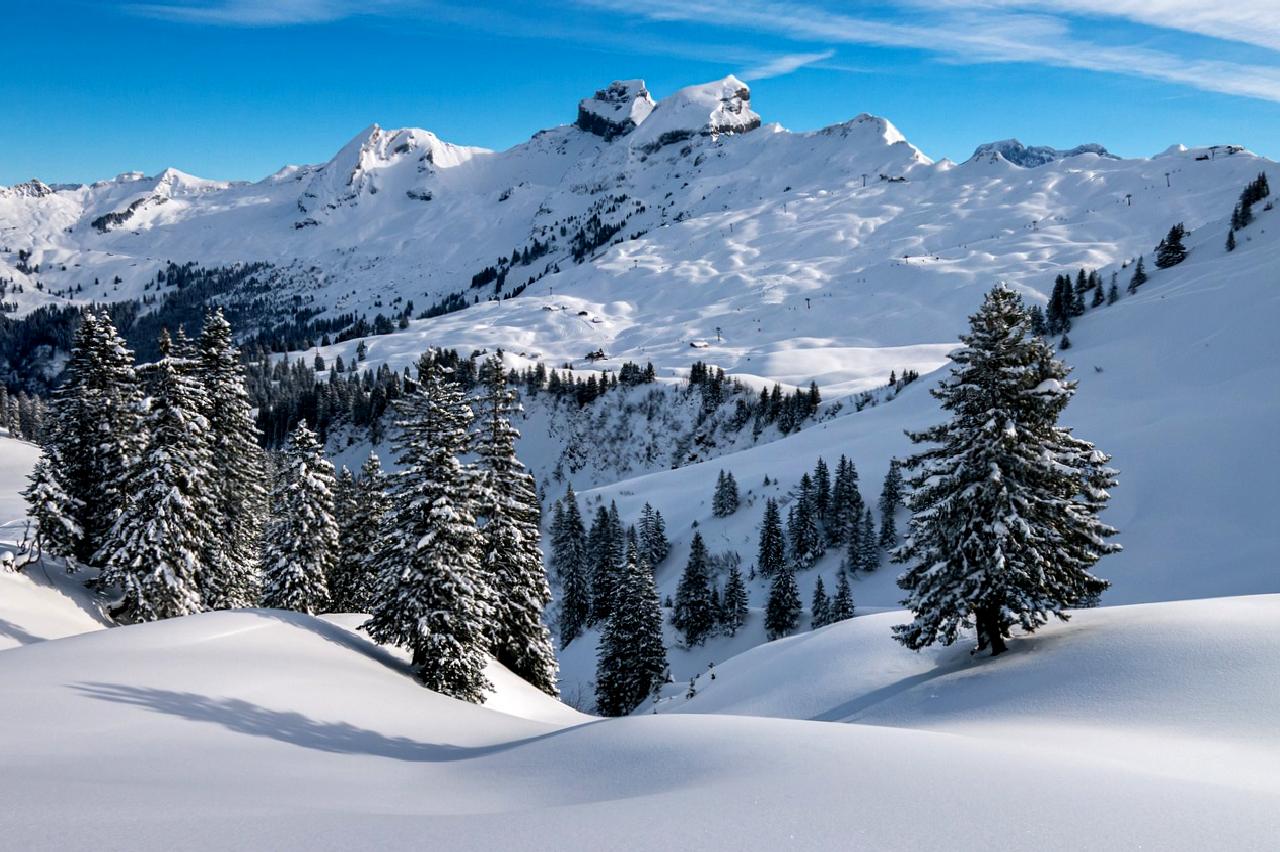 İsviçre'de sürdürülebilir ulaşımın öncüsü Easymotors Biel Alan ile tanışın. Çevre