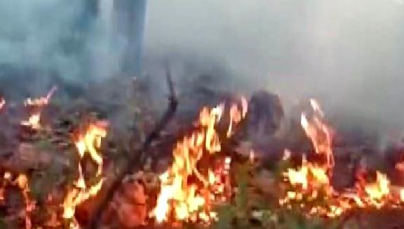 Kahramanmaraş'ta meydana gelen orman yangınına karşı yürütülen mücadele ve destek