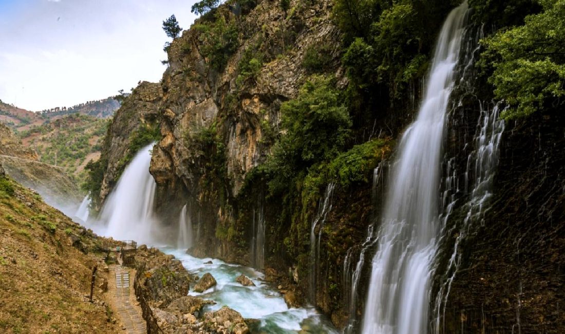 Kayseri-Ankara Kara Yolunda Feci Kaza: Bir Öğretmen Hayatını Kaybetti Kayseri-Ankara kara yolunda meydana gelen feci kaza, bir öğretmenin hayatına