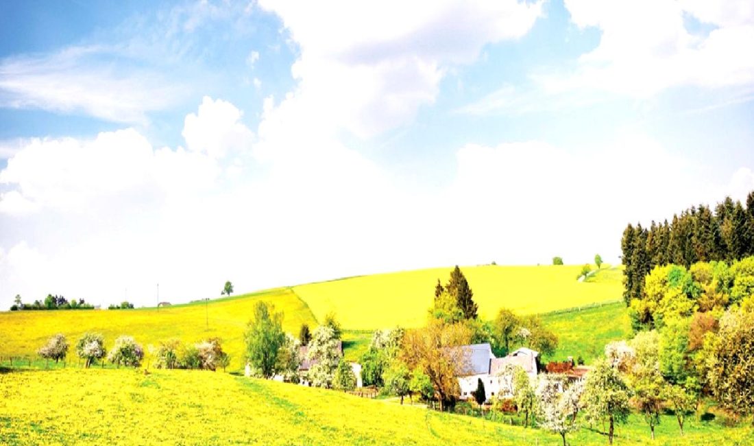 Kırsal Mahallelerde Emlak Vergisi ve Yeni Düzenlemeler Kırsal mahallelerde emlak vergisi ve yeni düzenlemeler hakkında bilgilendirici bir