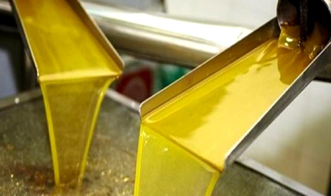 Köklü Zeytincilik, SIAL Paris 2024'te zeytinyağı üretimi ve ihracat hedeflerini