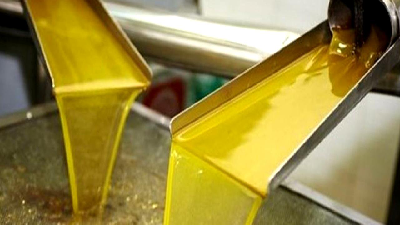 Köklü Zeytincilik, SIAL Paris 2024'te zeytinyağı üretimi ve ihracat hedeflerini