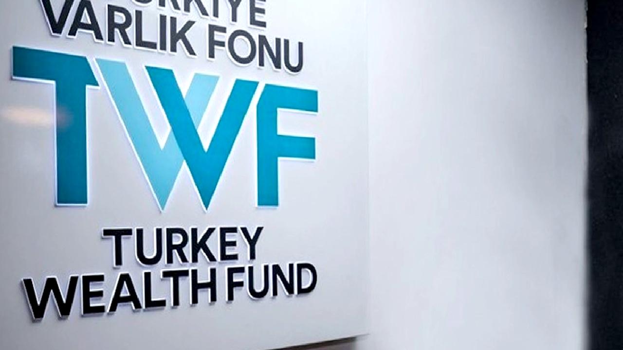 Koza Altın ve bağlı şirketlerinin Türkiye Varlık Fonu'na devri, Türkiye'nin