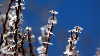 Malatya'da meydana gelen 5.9 büyüklüğündeki depremin ilk bilgileri burada! Depremin