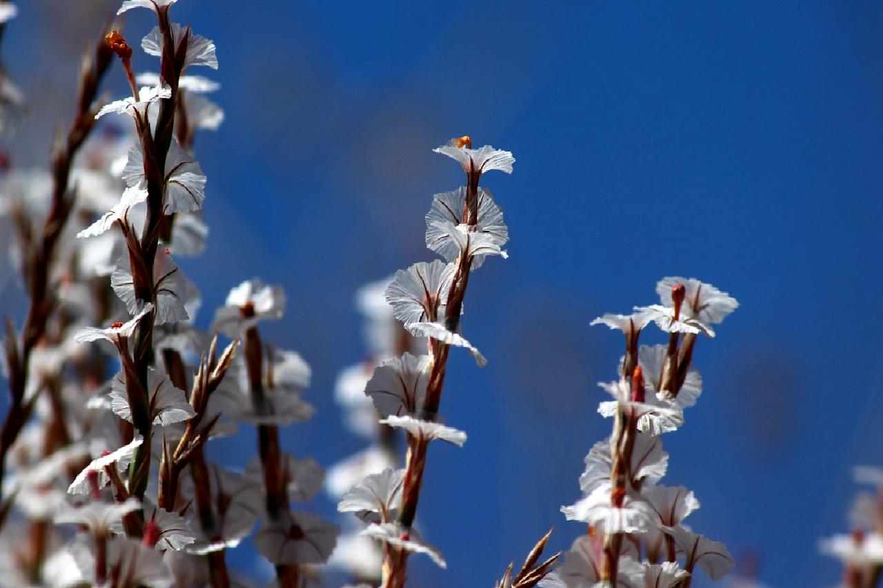 Malatya'da meydana gelen 5.9 büyüklüğündeki depremin ilk bilgileri burada! Depremin
