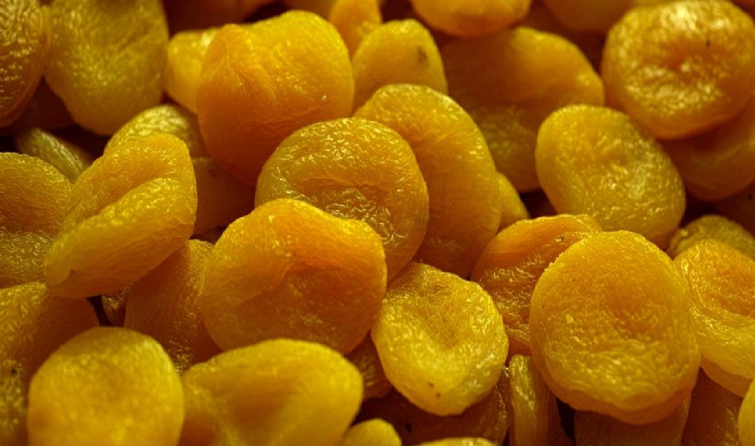 Malatya’da Deprem Sonrası Eğitime Ara Verildi Malatya'da meydana gelen deprem sonrası, eğitim faaliyetlerine ara verildi. Öğrencilerin