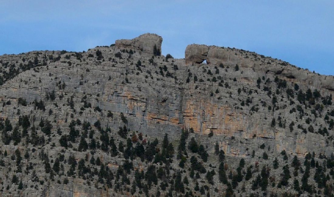Manavgat’ta Ganyan Bayii Çalışanı Yasin Ünsal’ın Trajik Ölümü Manavgat'ta ganyan bayii çalışanı Yasin Ünsal'ın trajik ölümü, yerel halkı