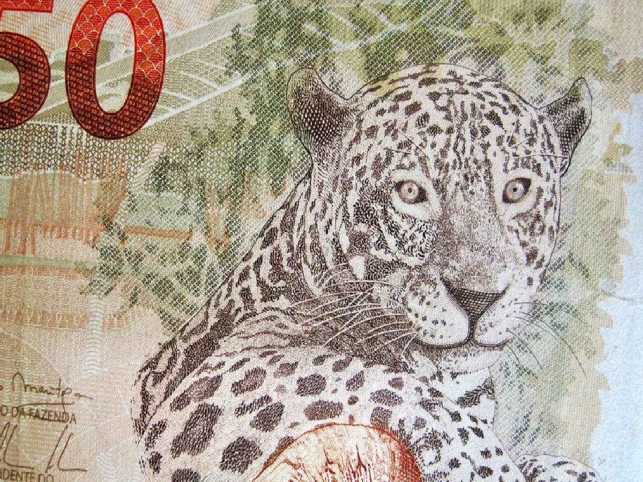 Merkez Bankası'nın Eylül ayı enflasyon değerlendirmesi, fiyat artışları ve ekonomik