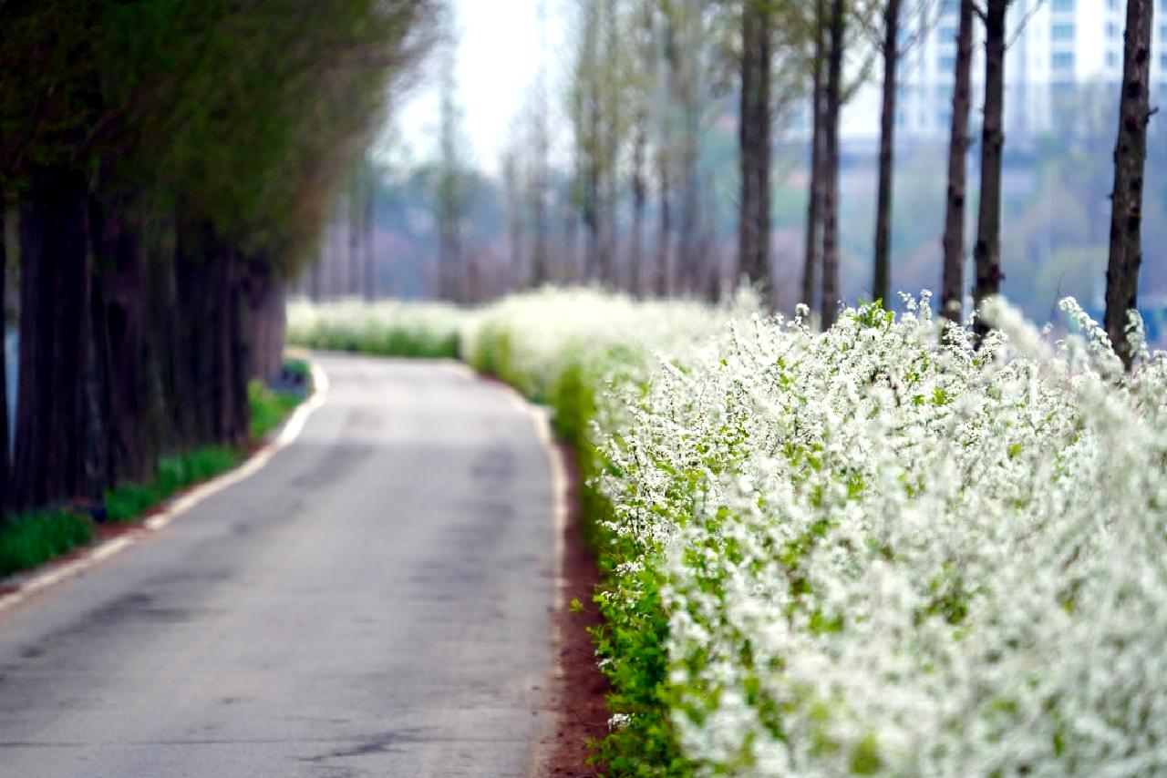 Meta, Los Angeles ofisinde 20'den fazla çalışanını işten çıkararak önemli