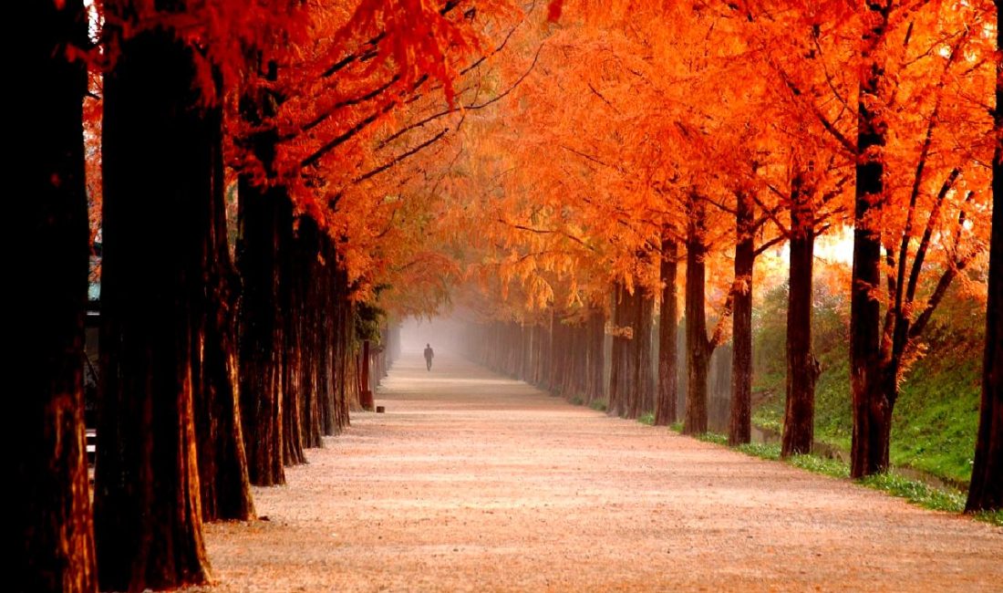 Meta’dan Stratejik Yeniden Yapılanma ve İşten Çıkarmalar Meta, stratejik yeniden yapılanma sürecine girerken, işten çıkarmalarla ilgili önemli