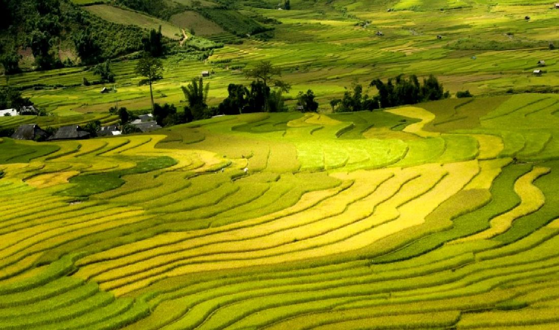 Muş’ta Göktaşı Keşfi: Çiftçinin İlginç Buluntusu Muş'ta bir çiftçinin tarlasında keşfettiği göktaşı, bilim dünyasında büyük heyecan