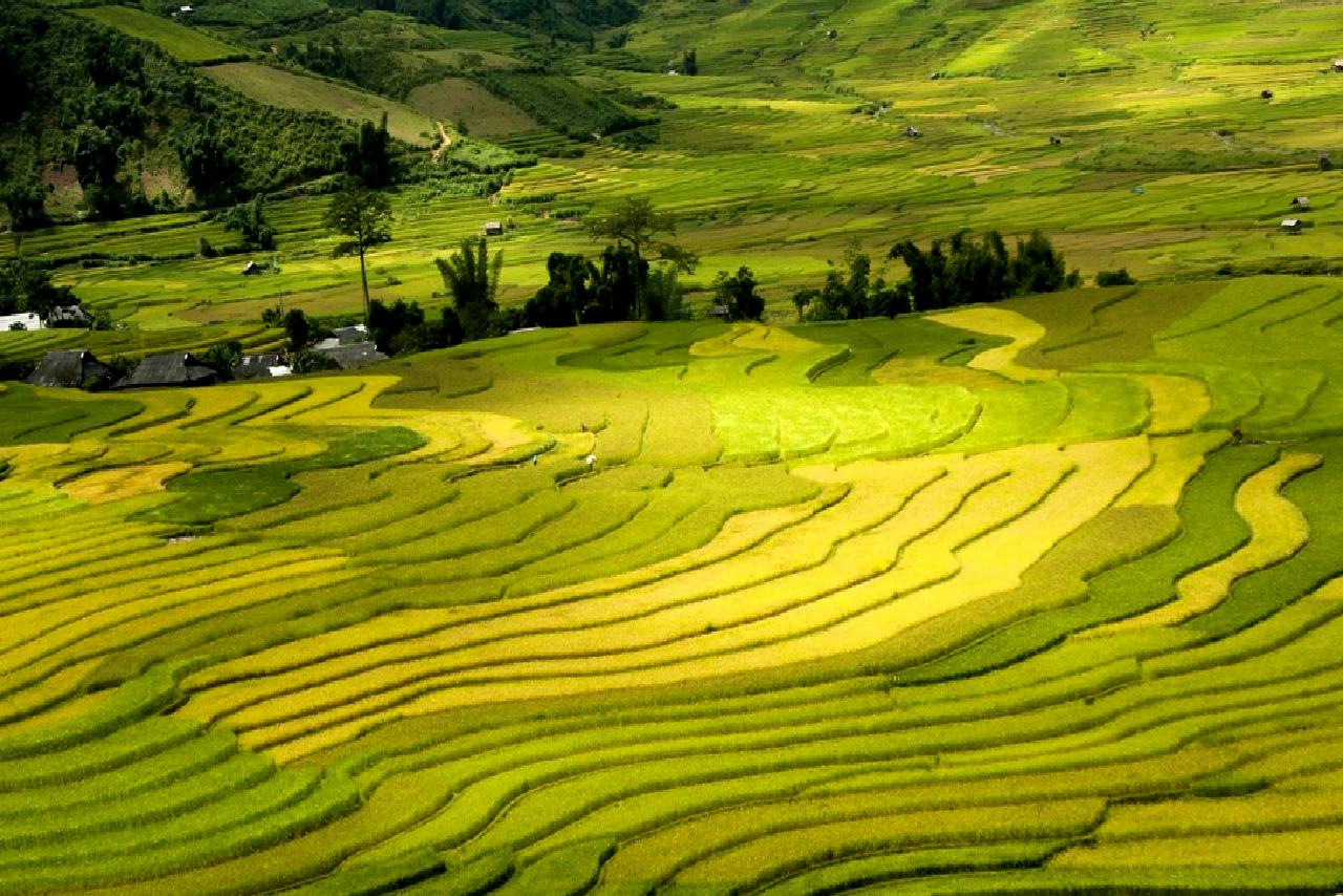 Muş'ta bir çiftçinin tarlasında keşfettiği göktaşı, bilim dünyasında büyük heyecan