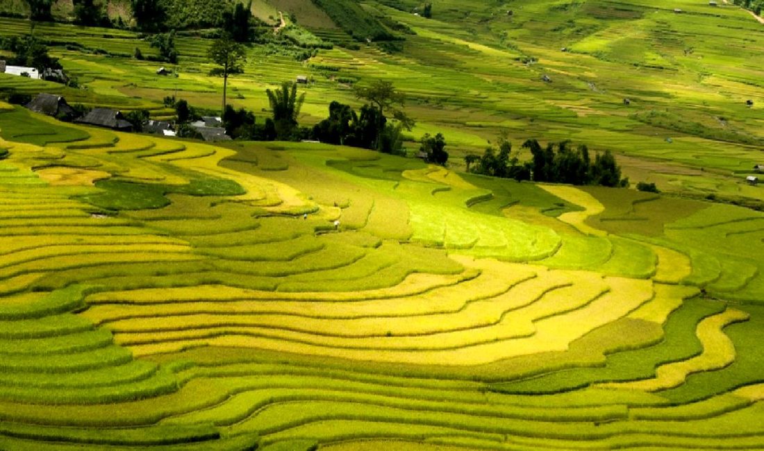 Muş’ta Trafik Kazası: 3 Yaralı Muş'ta meydana gelen trafik kazasında 3 kişi yaralandı. Olay yerine