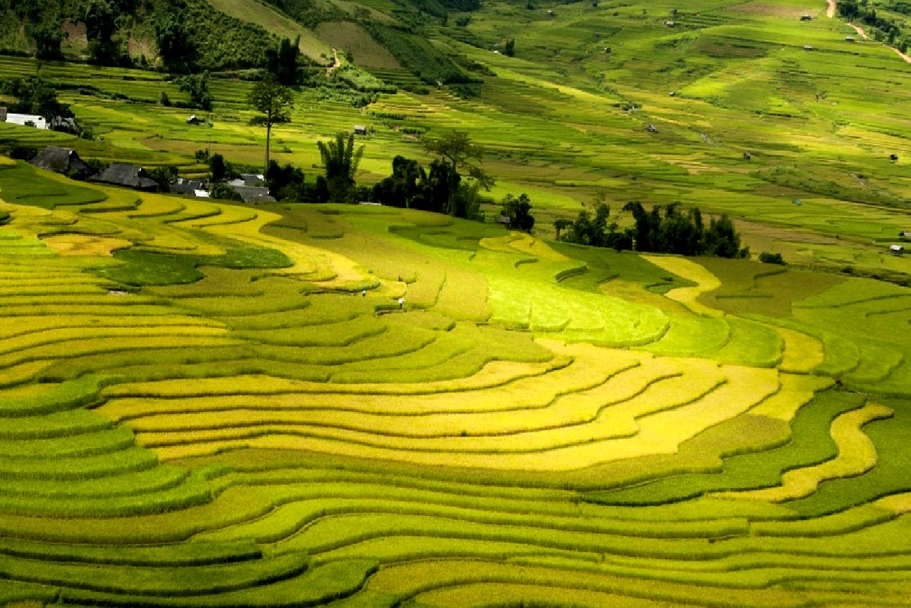 Muş'ta meydana gelen trafik kazasında 3 kişi yaralandı. Olay yerine