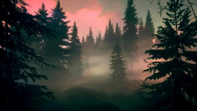 NFT pazarında yükselen satış hacimleri ve artan yatırımcı ilgisi, dijital