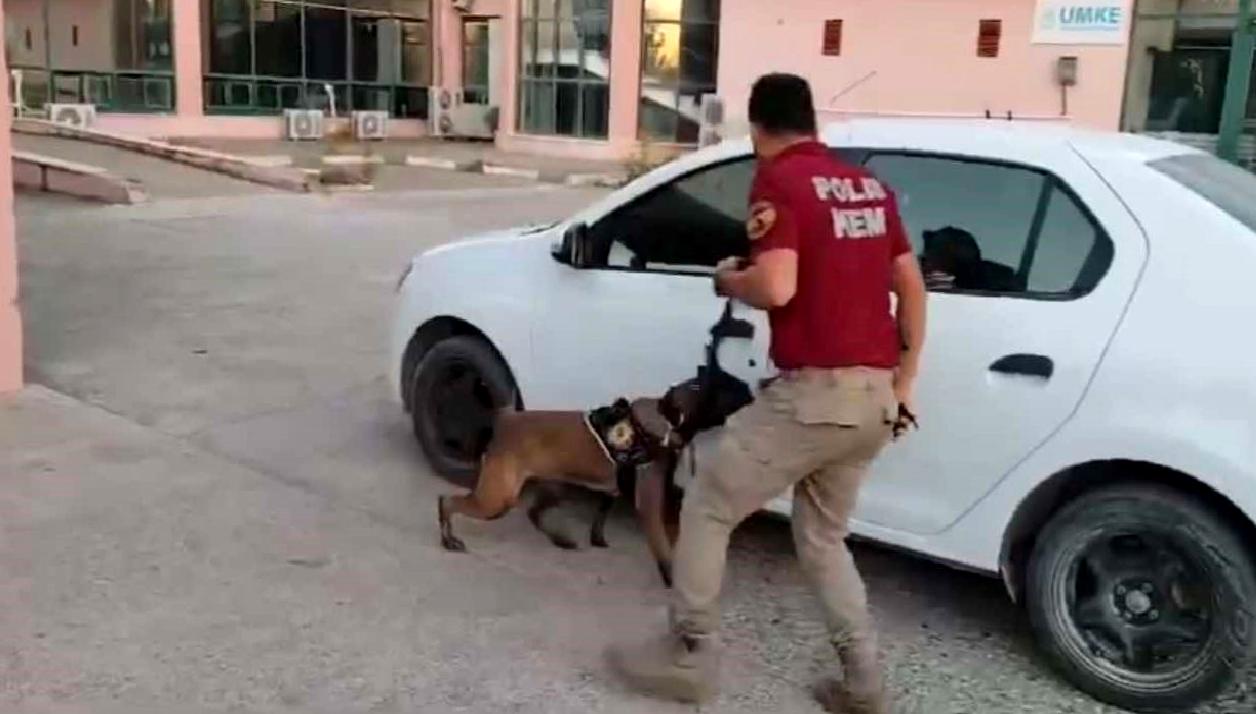 Osmaniye'de gerçekleştirilen uyuşturucu operasyonunda 33 kilo skunk ele geçirildi. Güvenlik