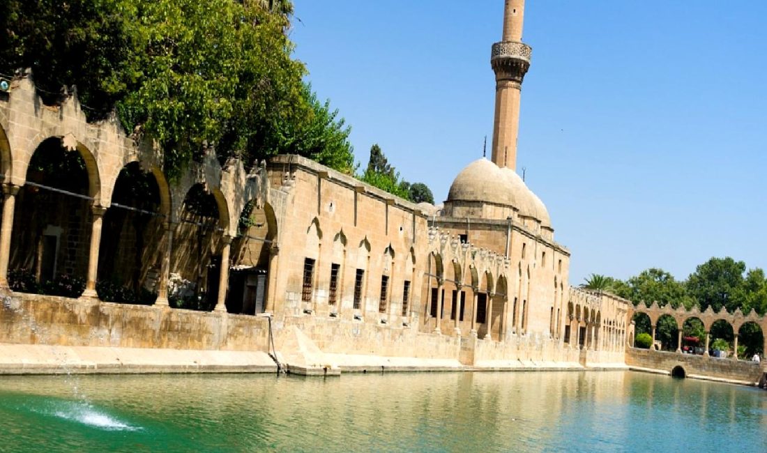 Şanlıurfa'da meydana gelen trafik kazasında devrilen araçta 5 çocuk yaralandı.