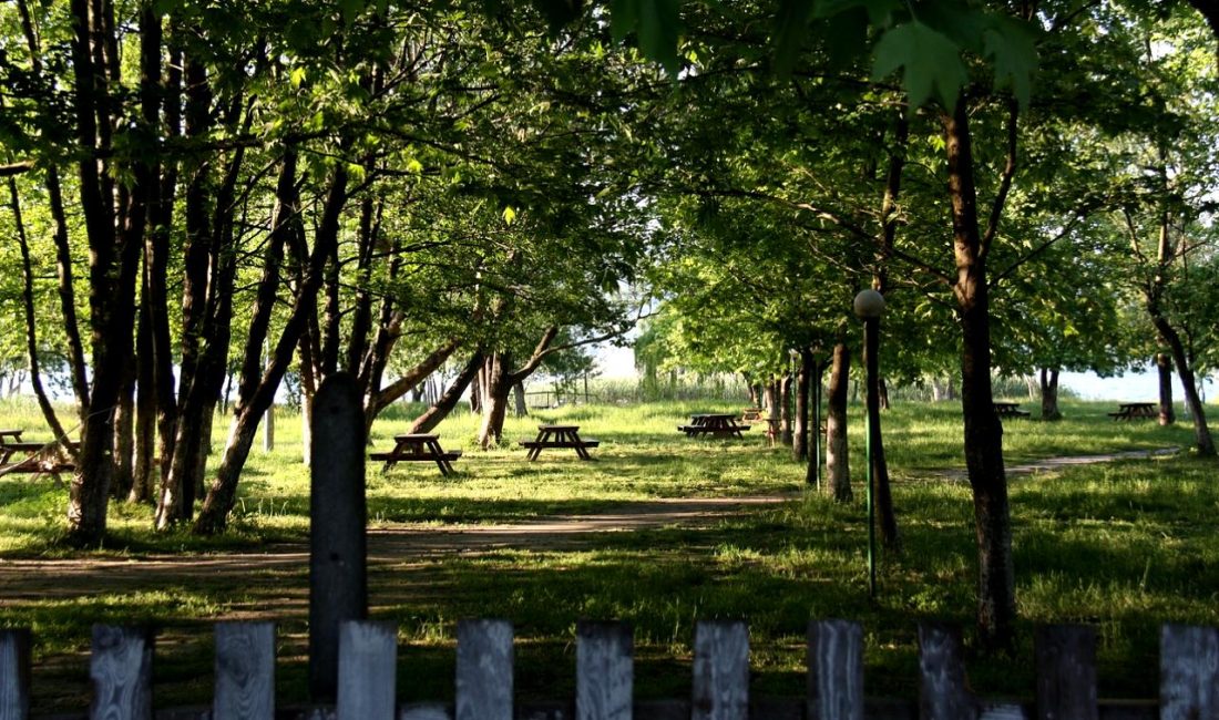 Sapanca’da Silahlı Kavga: 4 Yaralı Sapanca'da meydana gelen silahlı kavga, 4 kişinin yaralanmasıyla sonuçlandı. Olayın