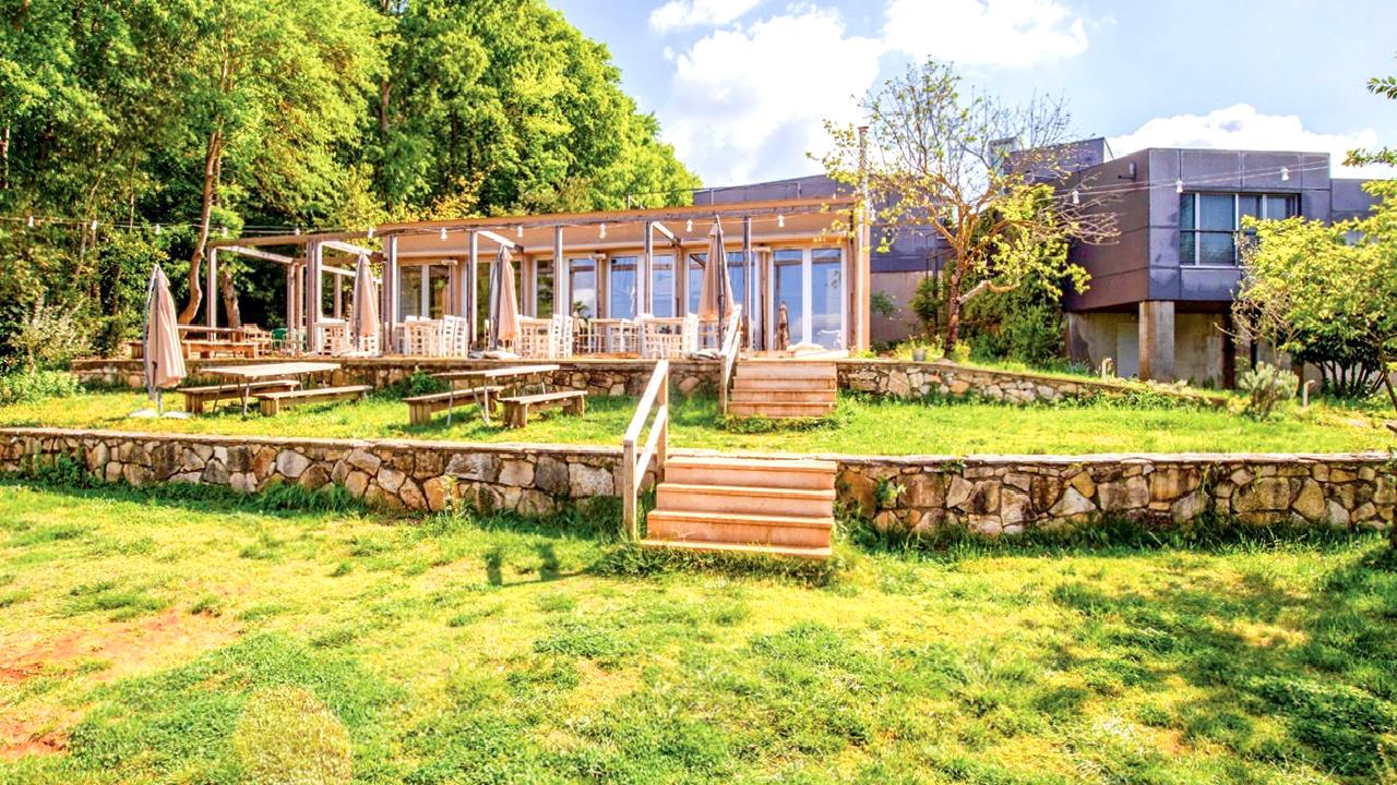 Sürdürülebilirlik ve Narköy konusunu keşfedin. Doğa ile uyum içinde yaşamanın