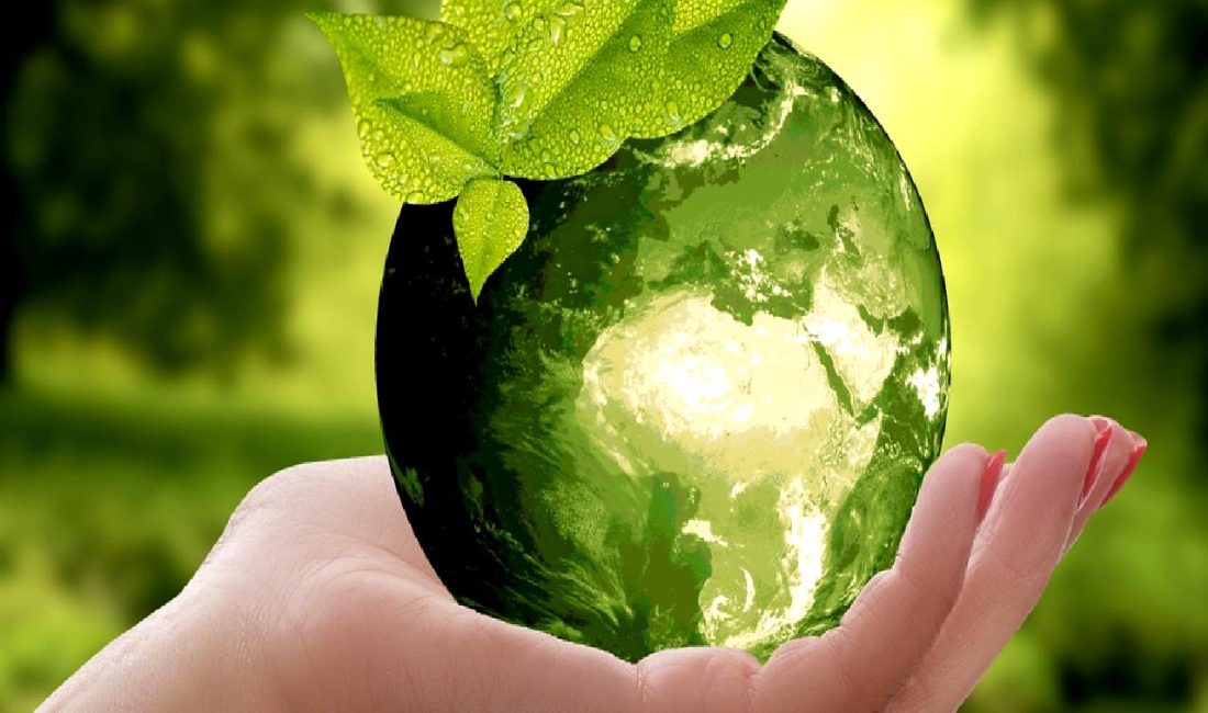 Sürdürülebilirlikte Finans ve Bankaların Rolü Sürdürülebilirlikte finans ve bankaların rolünü keşfedin. Yeşil yatırımlar, çevresel sorumluluk