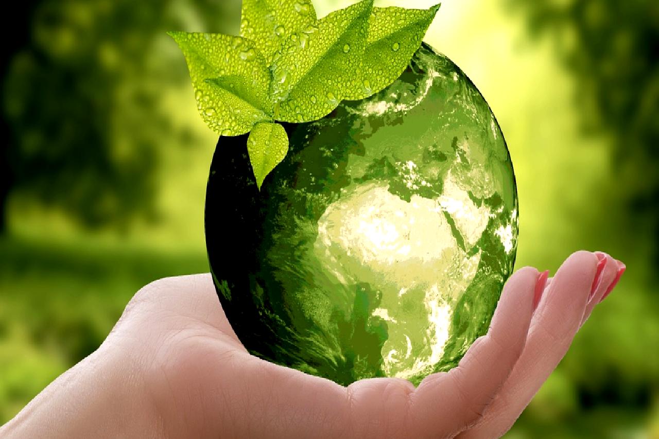 Sürdürülebilirlikte finans ve bankaların rolünü keşfedin. Yeşil yatırımlar, çevresel sorumluluk