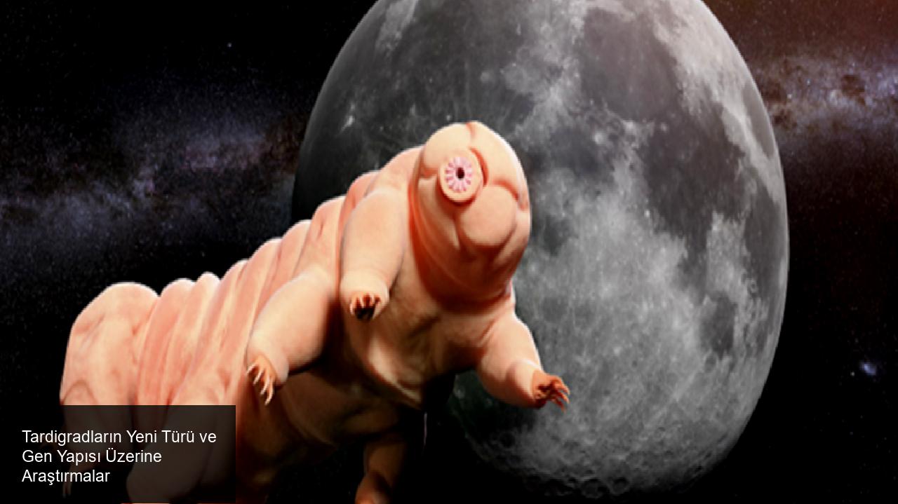 Tardigradların Hayatta Kalma Yeteneği