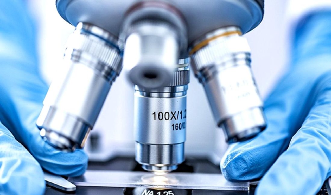 Tardigradların Yeni Türü ve Gen Yapısı Üzerine Araştırmalar Tardigradların yeni türü ve gen yapısı üzerine yapılan araştırmalar, bu