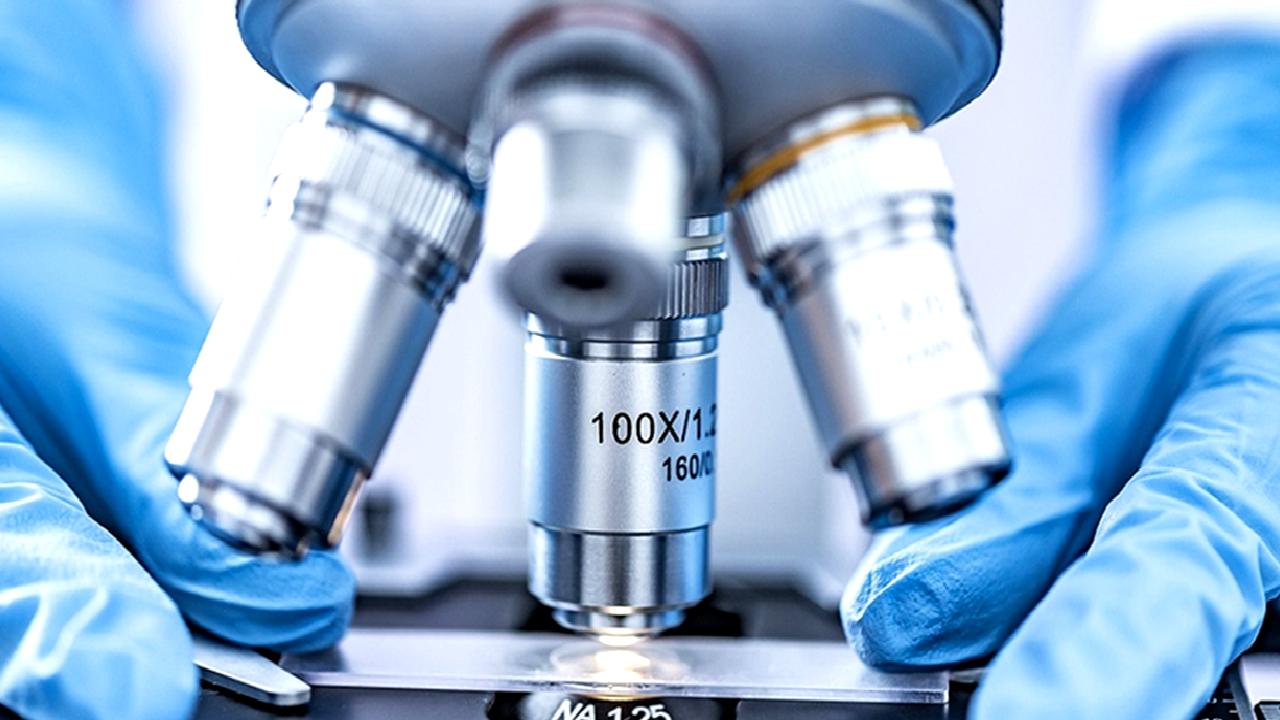 Tardigradların yeni türü ve gen yapısı üzerine yapılan araştırmalar, bu