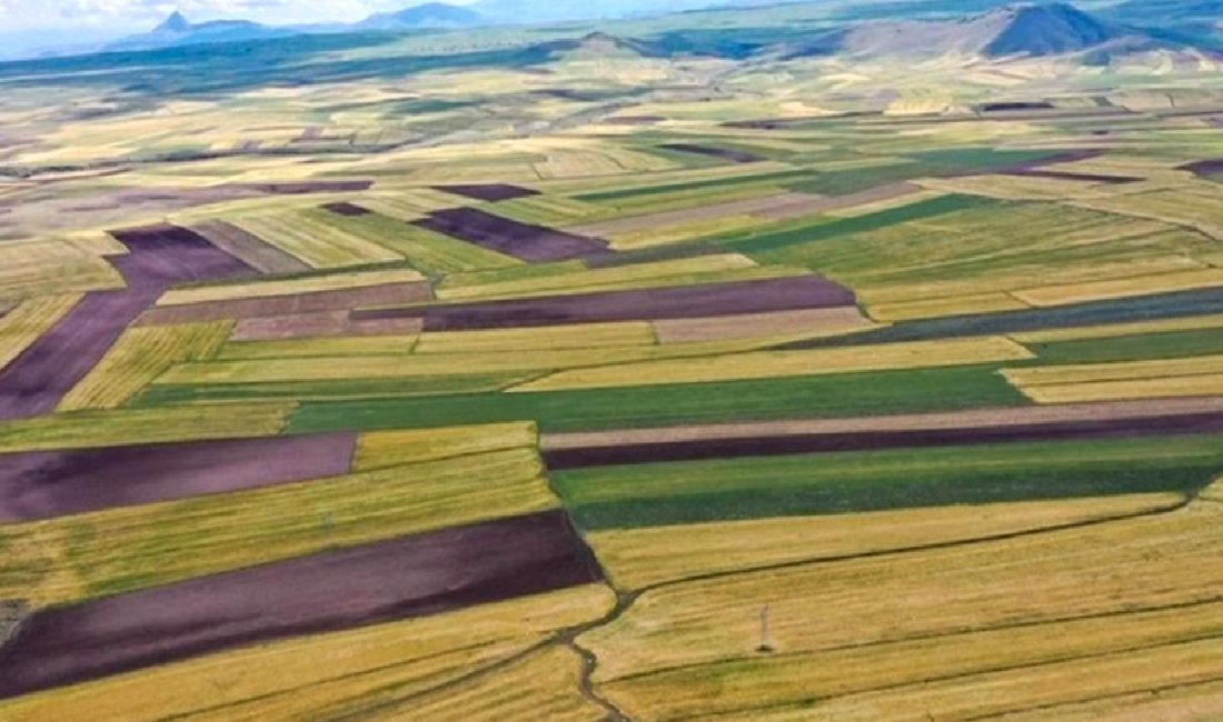 Tarım Arazileri ve Konut Talebi: Yeni Düzenlemeler Tarım arazileri ve konut talebi üzerindeki yeni düzenlemeleri keşfedin. Bu