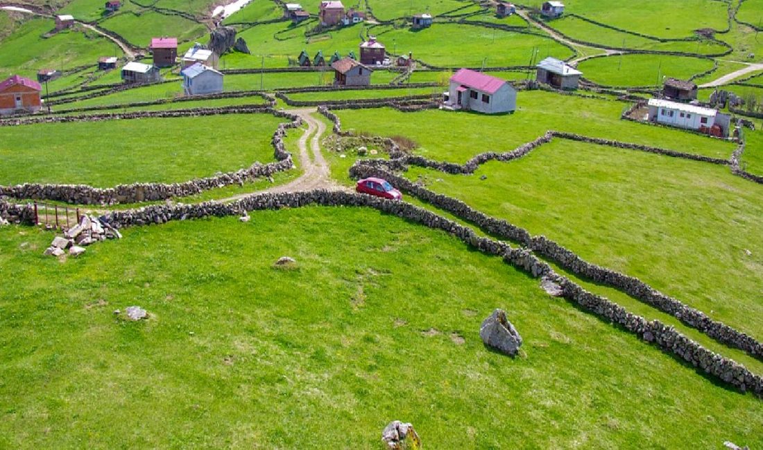 Trabzon’daki Sel Felaketi ve Hasar Tespit Çalışmaları Trabzon'da meydana gelen sel felaketi sonrası yapılan hasar tespit çalışmalarıyla