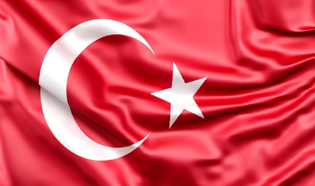 Türkiye'deki ekonomik zorluklarla başa çıkmak için etkili finansal danışmanlık sistemlerini