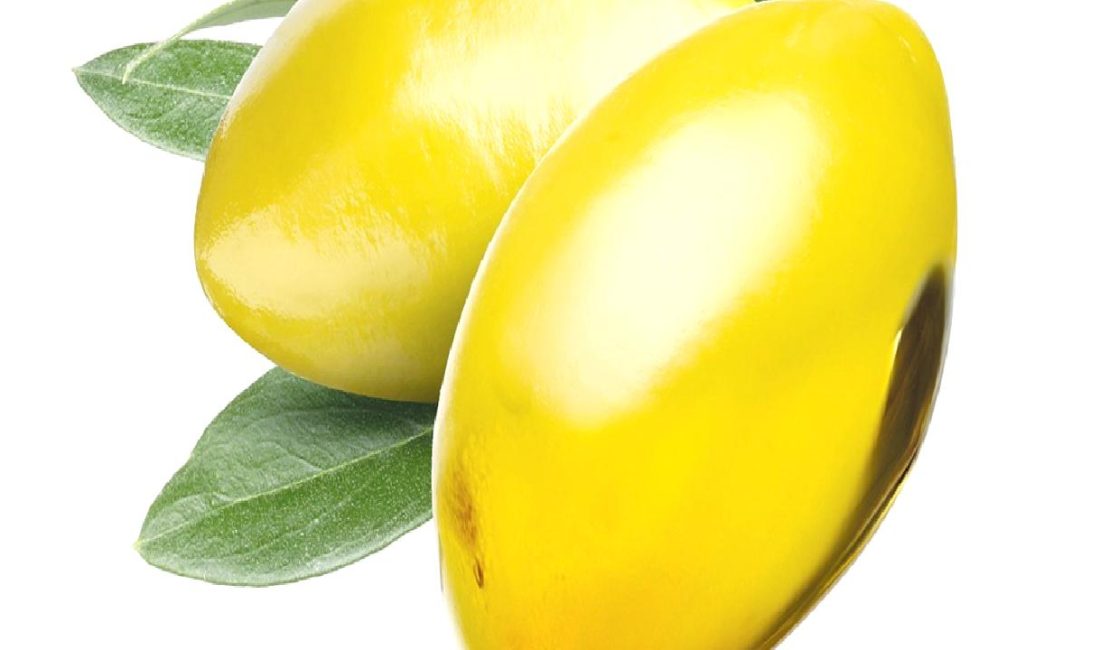 Türkiye'nin zeytin yetiştiriciliği ve zeytinyağı ihracı, ülkemizin tarımsal zenginliklerinden biridir.