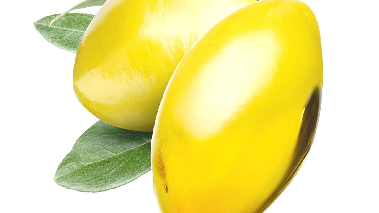 Türkiye'nin zeytin yetiştiriciliği ve zeytinyağı ihracı, ülkemizin tarımsal zenginliklerinden biridir.