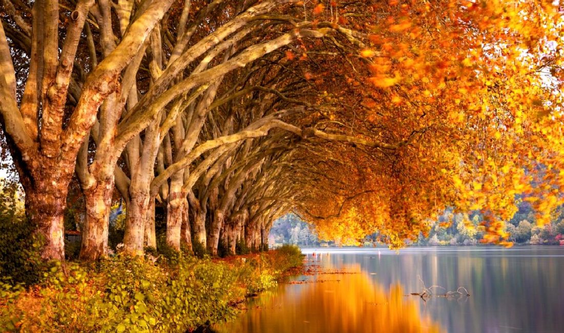 Uçak inişinde meydana gelen acil durum sonrası 174 yolcu sorunsuz