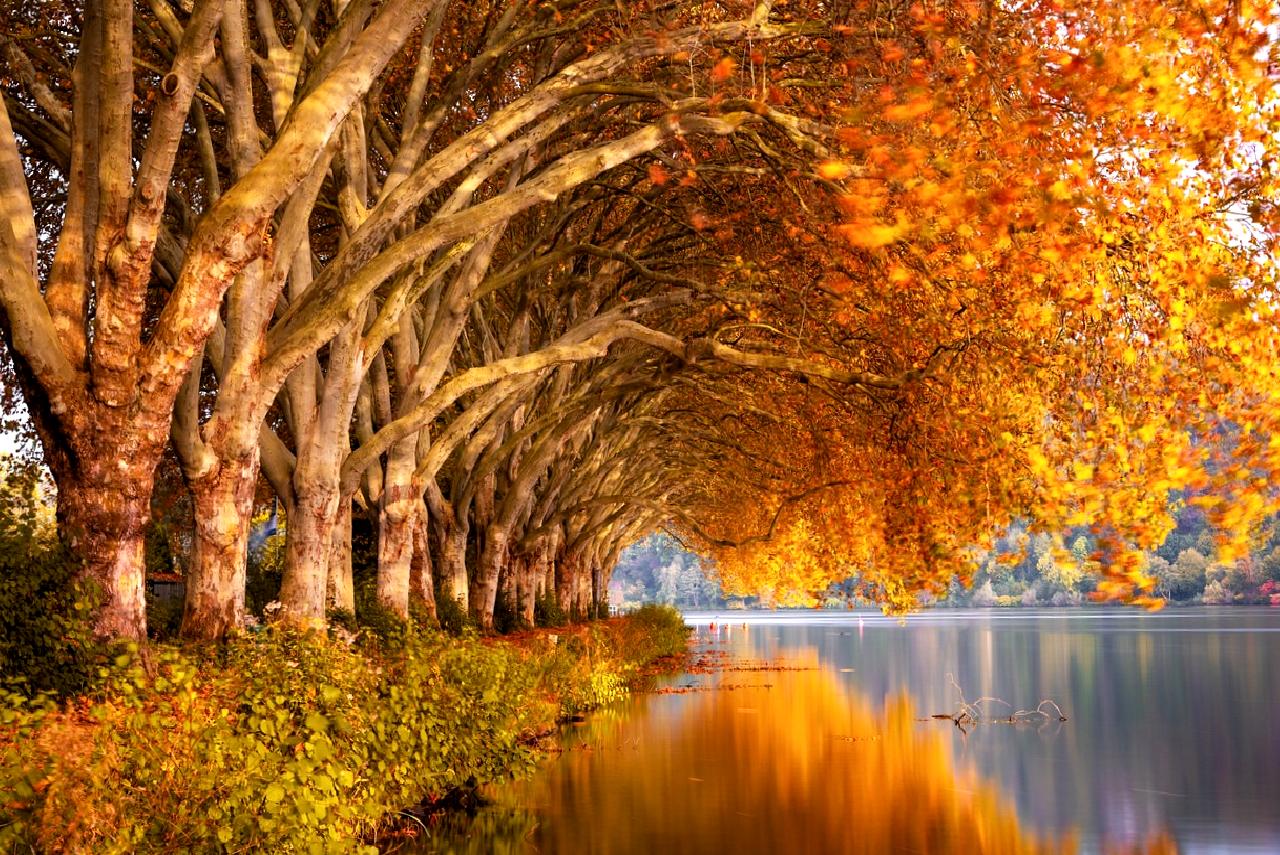 Uçak inişinde meydana gelen acil durum sonrası 174 yolcu sorunsuz