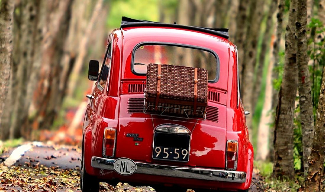 Üçevler Grup Köyü'nde meydana gelen otomobil yangını, bölgedeki vatandaşları alarma