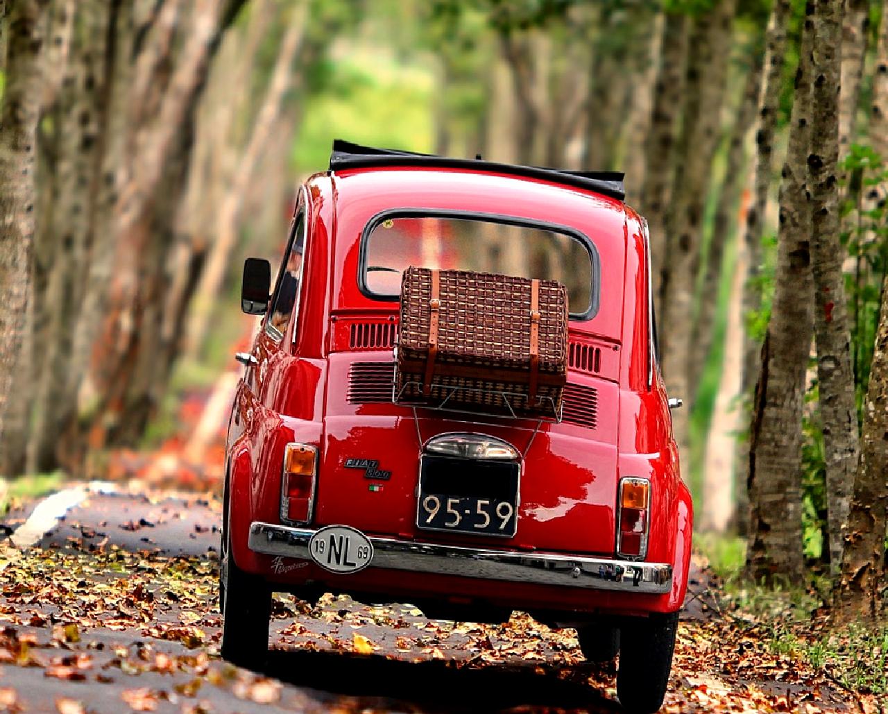 Üçevler Grup Köyü'nde meydana gelen otomobil yangını, bölgedeki vatandaşları alarma