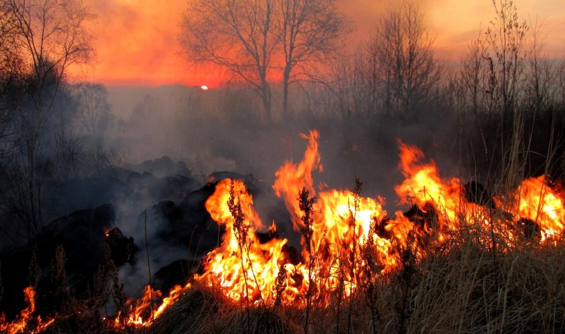Uluabat Mahallesi'nde bir palet fabrikasında çıkan yangın, bölgedeki yoğun duman