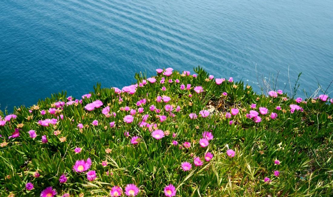 Uyuşturucu Satıcılarına Yönelik Kapsamlı Operasyon Uyuşturucu satıcılarına yönelik gerçekleştirilen kapsamlı operasyonlar, suç örgütlerinin çökertilmesi ve