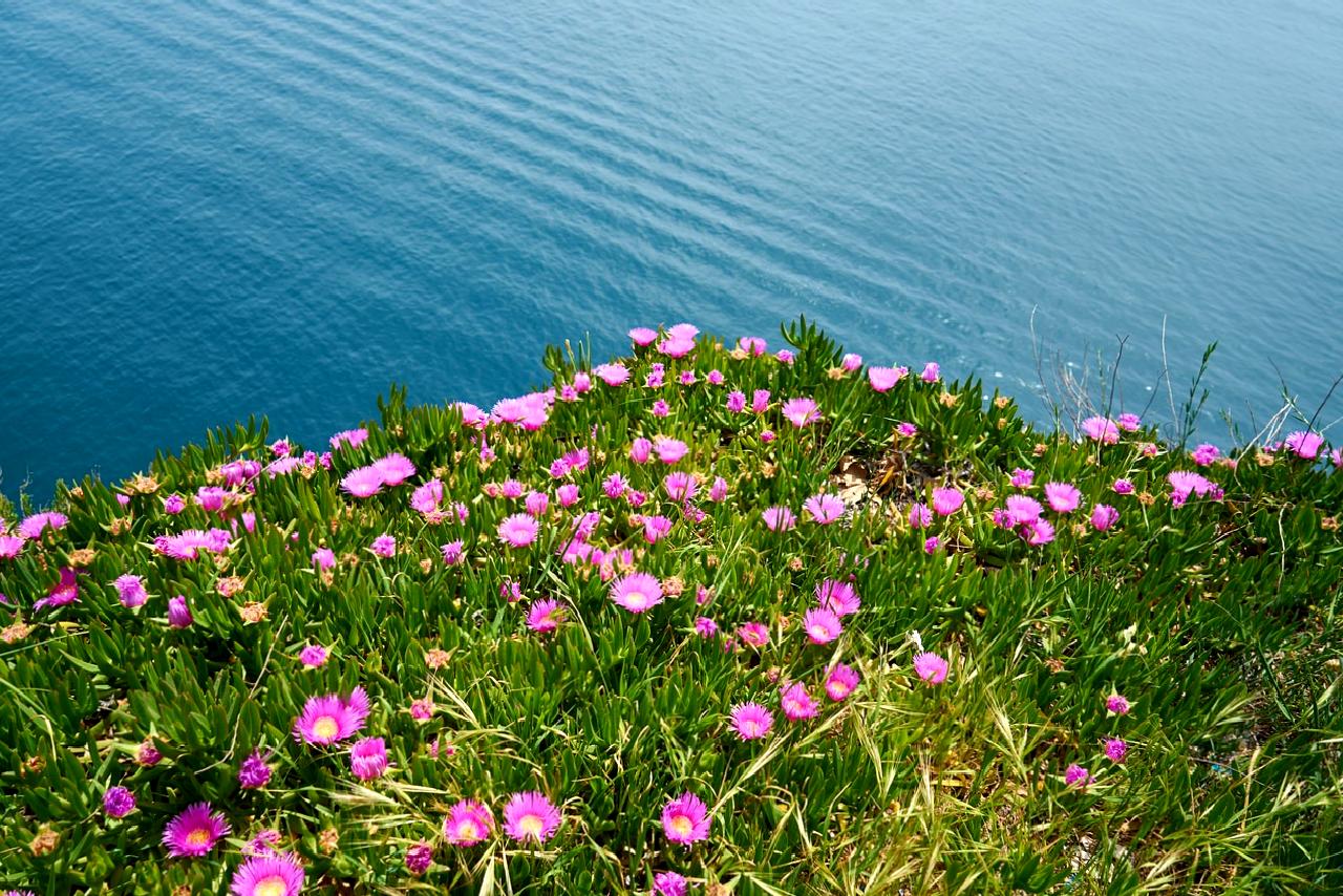 Uyuşturucu satıcılarına yönelik gerçekleştirilen kapsamlı operasyonlar, suç örgütlerinin çökertilmesi ve