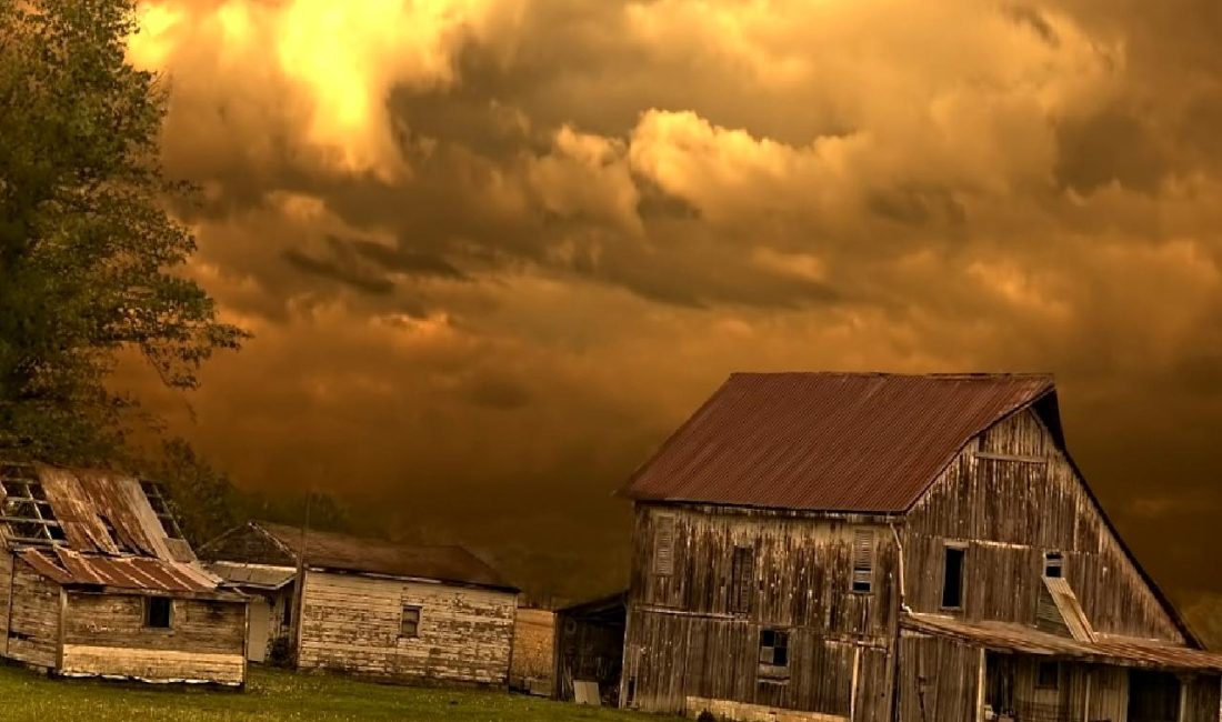 Williams, Eylül ayı istihdam raporunu değerlendirerek işgücü piyasasındaki gelişmeleri, istihdam