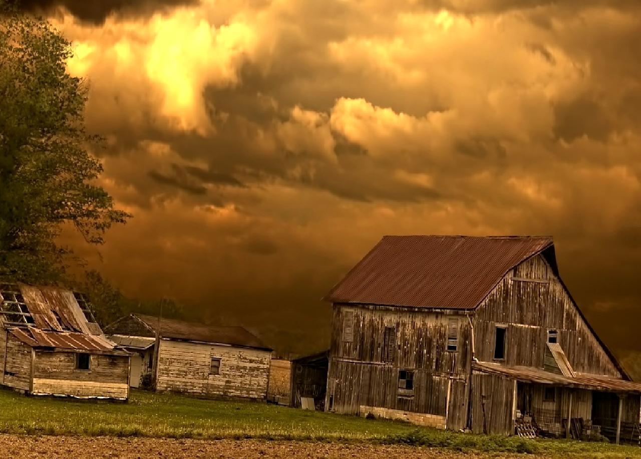 Williams, Eylül ayı istihdam raporunu değerlendirerek işgücü piyasasındaki gelişmeleri, istihdam