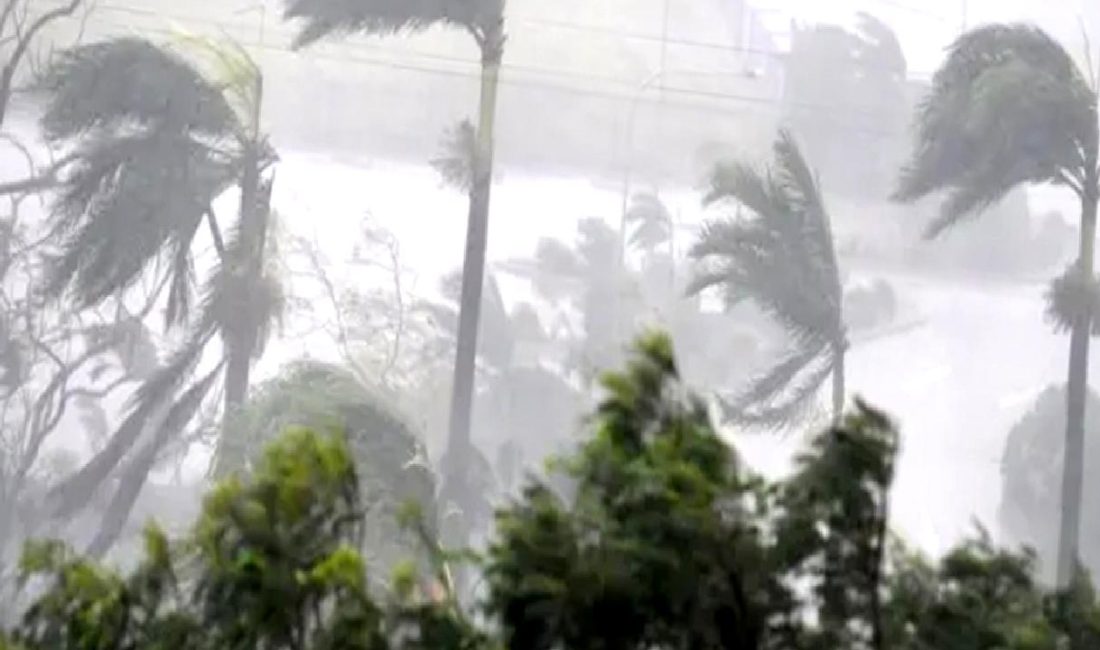 Yapay Zeka Destekli Afet Yardım Uygulaması ile Acil Durumlarda Hızlı Yardım Yapay zeka destekli afet yardım uygulamamız, acil durumlarda hızlı ve