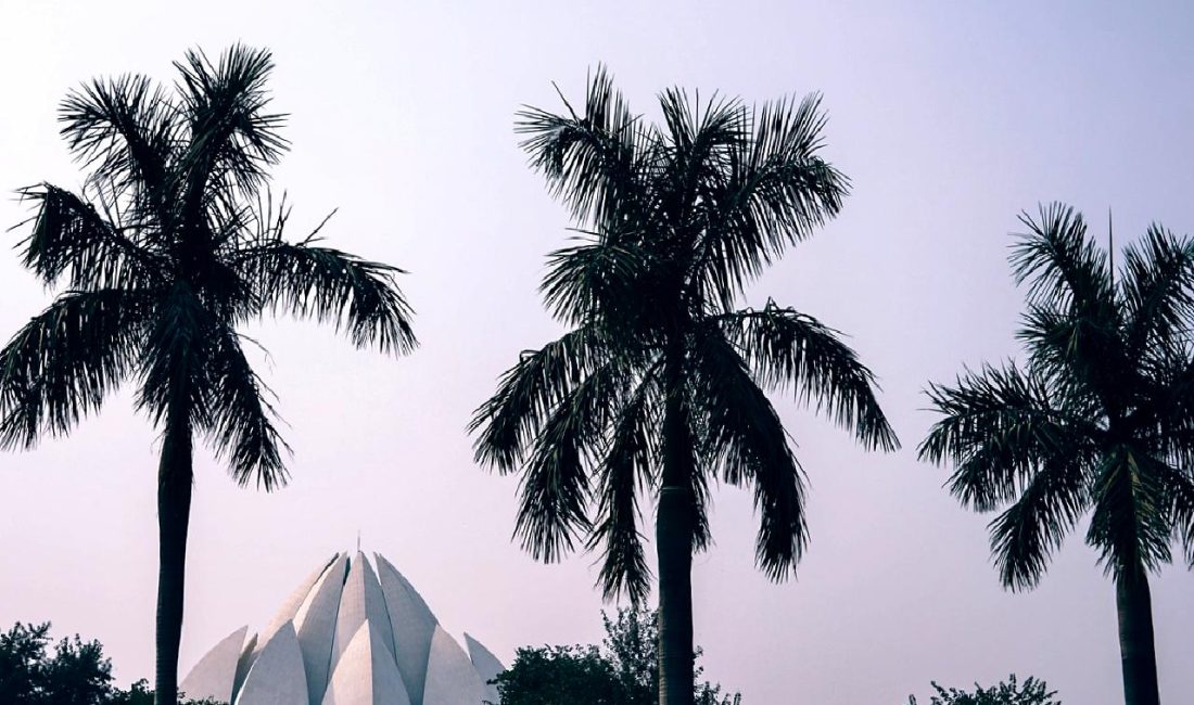 Yeni Delhi’de Hava Kirliliği ve Sis Sorunu Yeni Delhi'de hava kirliliği ve sis sorunu, sağlık üzerindeki olumsuz