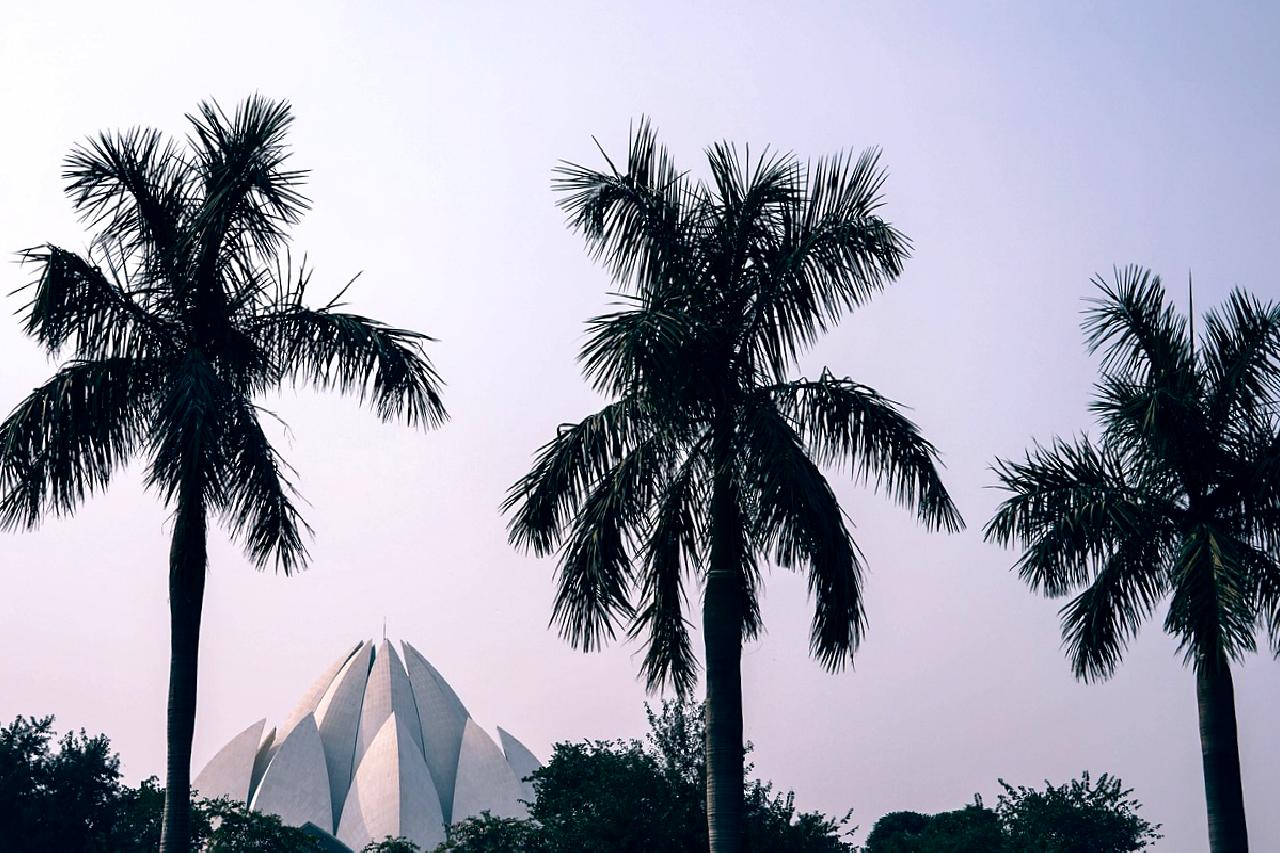 Yeni Delhi'de hava kirliliği ve sis sorunu, sağlık üzerindeki olumsuz