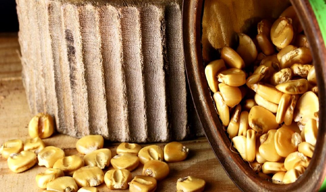 Yeni Mısır İthalat Düzenlemesi, tarım sektöründe önemli değişiklikler yaratıyor. Bu